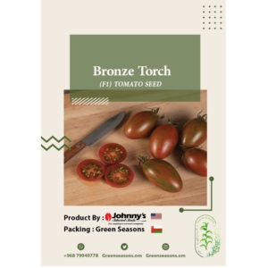 Bronze Torch
