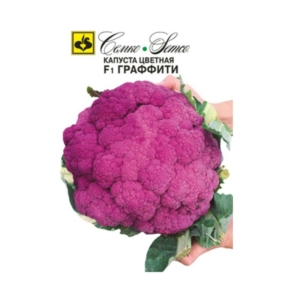 بذور القرنبيط -cauliflower graffiti- هجين F1