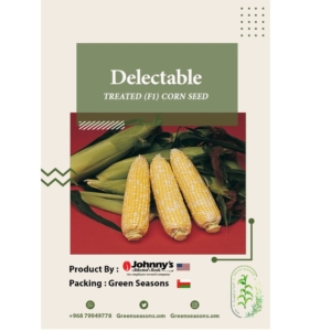 بذور الذرة Delectable Treated corn F1