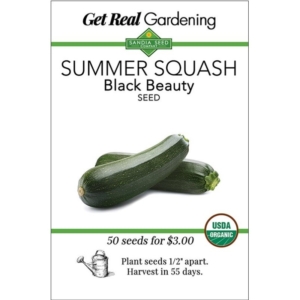 بذور الكوسة الصيفية Summer Squash Black Beauty
