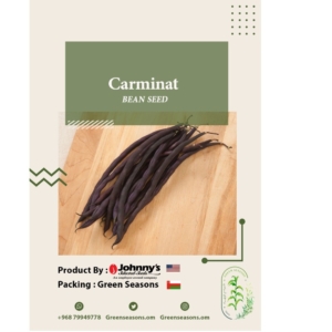بذور الفاصوليا Carminat