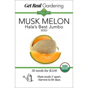 بذور الشمام MUSKMELON CANTALOUPE - HALE'S BEST JUMBO -