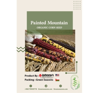 بذور الذرة الملونة Painted Mountain