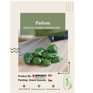 Padron