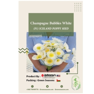 بذور شقائق النعمان الآيسلندية Champagne Bubbles White