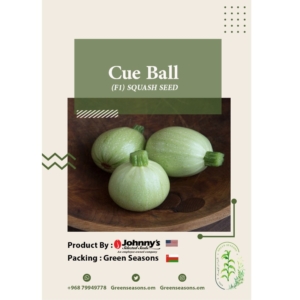بذور الكوسة Cue Ball F1