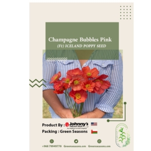 Champagne Bubbles Pink (F1) Iceland Poppy Seed