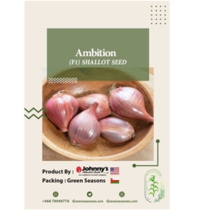 بذور كراث الشالوت Ambition F1 Shallot Seeds