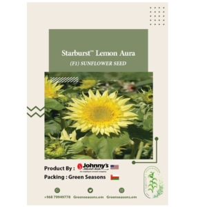 بذور دوار الشمس Starbust Lemon Aura F1