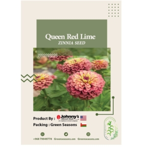 بذور الزينيا Queen Red Lime