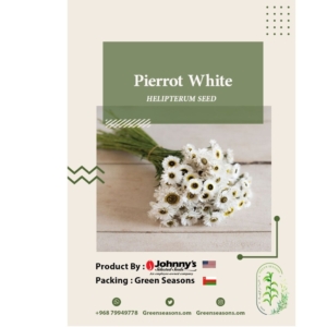 بذور أزهار Pierrot White