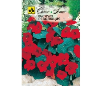 ثورة الزهور Nasturtium