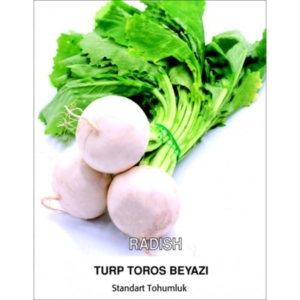 بذور الفجل الأسد المدور - Turp Toros Beyazi