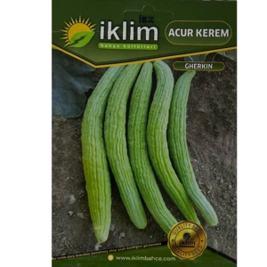 بذور القضاء أو الخيار الأرمينية - Acur Kerem بذور حدائق