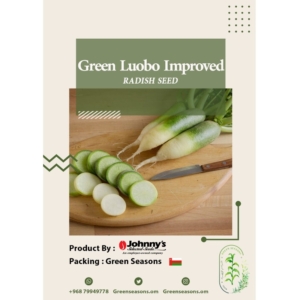 بذور فجل. لولو الأخضر Green Luobo Radish