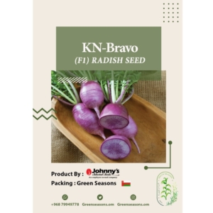 بذور الفجل البنفسجي Kn-Bravo F1