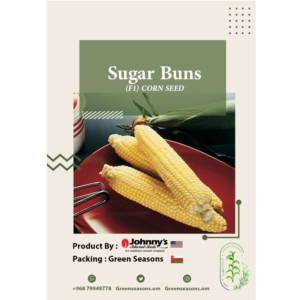 بذور الذرة السكرية Sugar Buns F1
