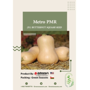 بذور القرع Metro PMR F1 Butternut Squash