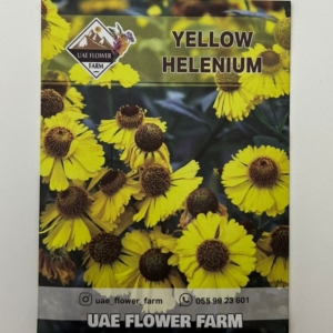 بذور ورود Yellow Helenium