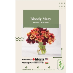 بذور أبو خنجر Bloody Mary