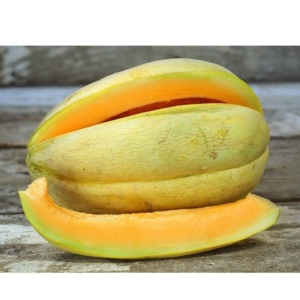 بذور البطيخ الأمريكي Melon, Old Time Tennessee