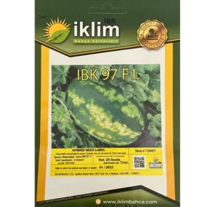البذور البطيخ - IBK 97 F1 TIGHTS صنف هجين من شركة كليم