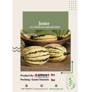 بذور القرع Jester Delicata Squash