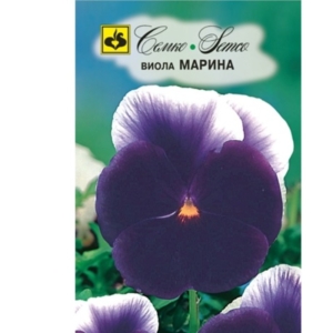 أزهار الفيولا (6)
