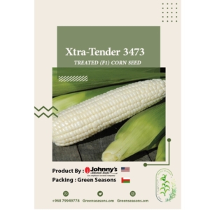 بذور الذرة البيضاء الحلوة - سوبر سويت Xtra-Tender 3473 F1 Super Sweet Corn