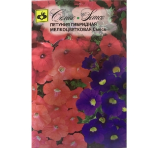 PETUNIA HYBRID Small-FLOWERED Mixture GOST بذور البتونيا F1