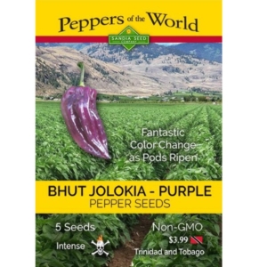 بذور الفلفل Bhut Jolokia Purple