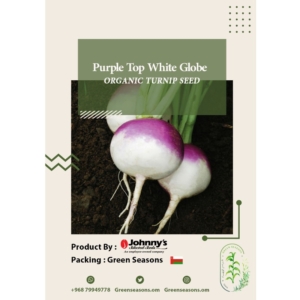 بذور جذور اللفت Purple Top White Globe