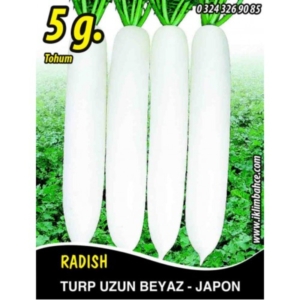 بذور الفجل الأبيض الطويل - Turp Uzun Beyaz Japon