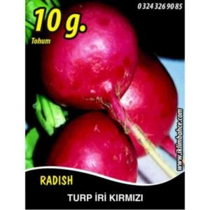 بذور الفجل الأسد المدور - Turp Toros Kirmizisi