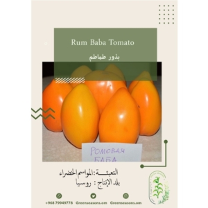 بذور الطماطم Rum Baba Tomato