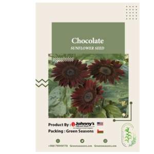 Chocolate Sunflower
