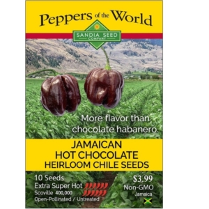 Jamiacan Hot Chocolate