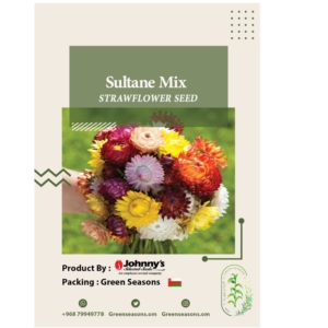 Sultane Mix Strawflower Seed