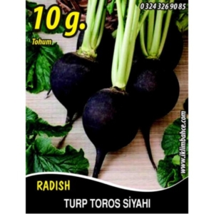 بذور الفجل الأسد المدور - Turp Toros Siyahi