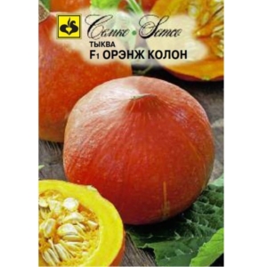 بذور القرع  Orange Colon F1