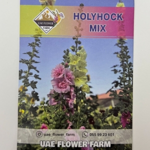 بذور مزيج أزهار الهولي هوك (الخطمية) - HOLLYHOCK MIX