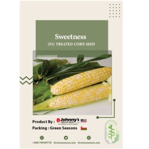 بذور الذرة Sweetness Treated Corn