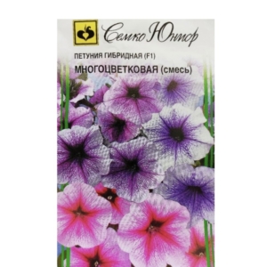 مزيج البتونيا الهجينة PETUNIA HYBRID (F1) MULTI-FLOWER (mix)
