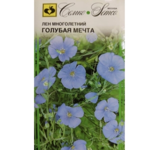 PERENNIAL BLUE DREAM