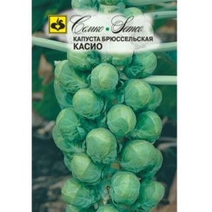 بذور كرنب بروكسل - كاسيو Brussels Sprouts